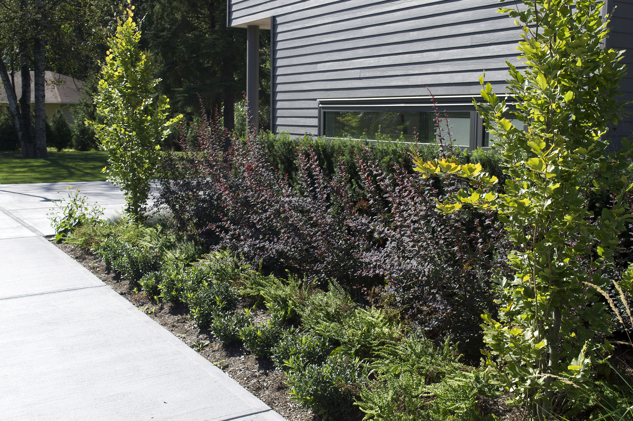 landscaping abbotsford